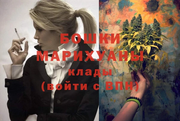 гидропоника Белокуриха