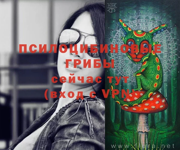 гидропоника Белокуриха