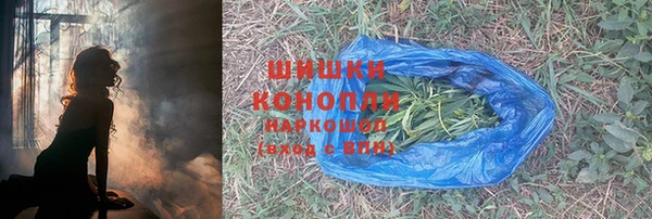 молекула духа Богородск
