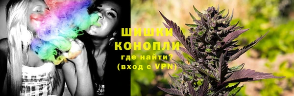 гидропоника Белокуриха