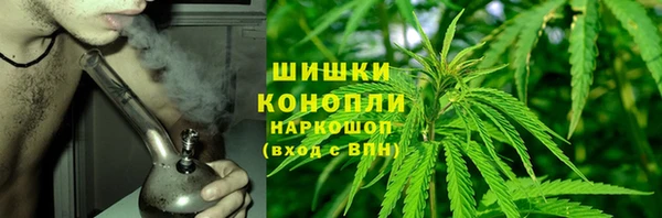 молекула духа Богородск