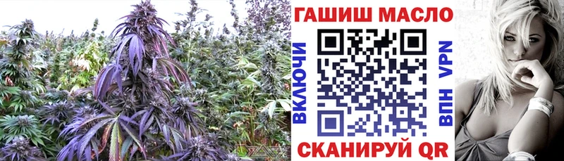 ТГК гашишное масло Бирюч
